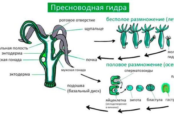 Кракен kr2web in