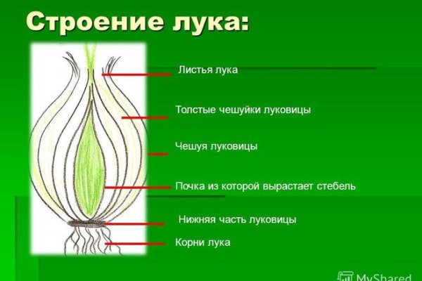 Кракен зеркало сайта