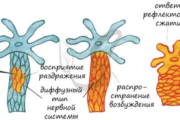 Kra9gl